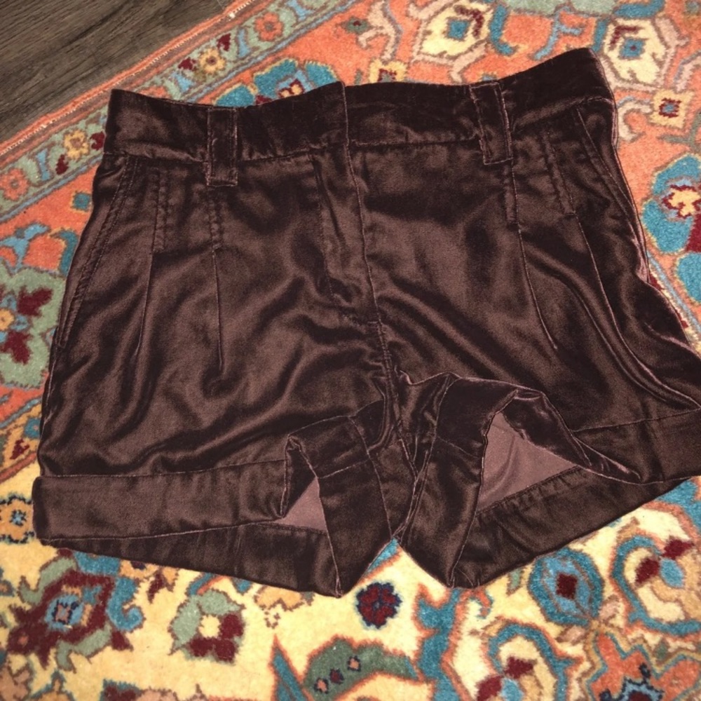 Fossil Dark Plum Velvet Shorts